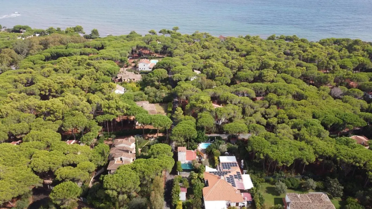 Casa vacanze Villa Jungle House - Pineta Is Morus Santa Margherita di Pula Italia