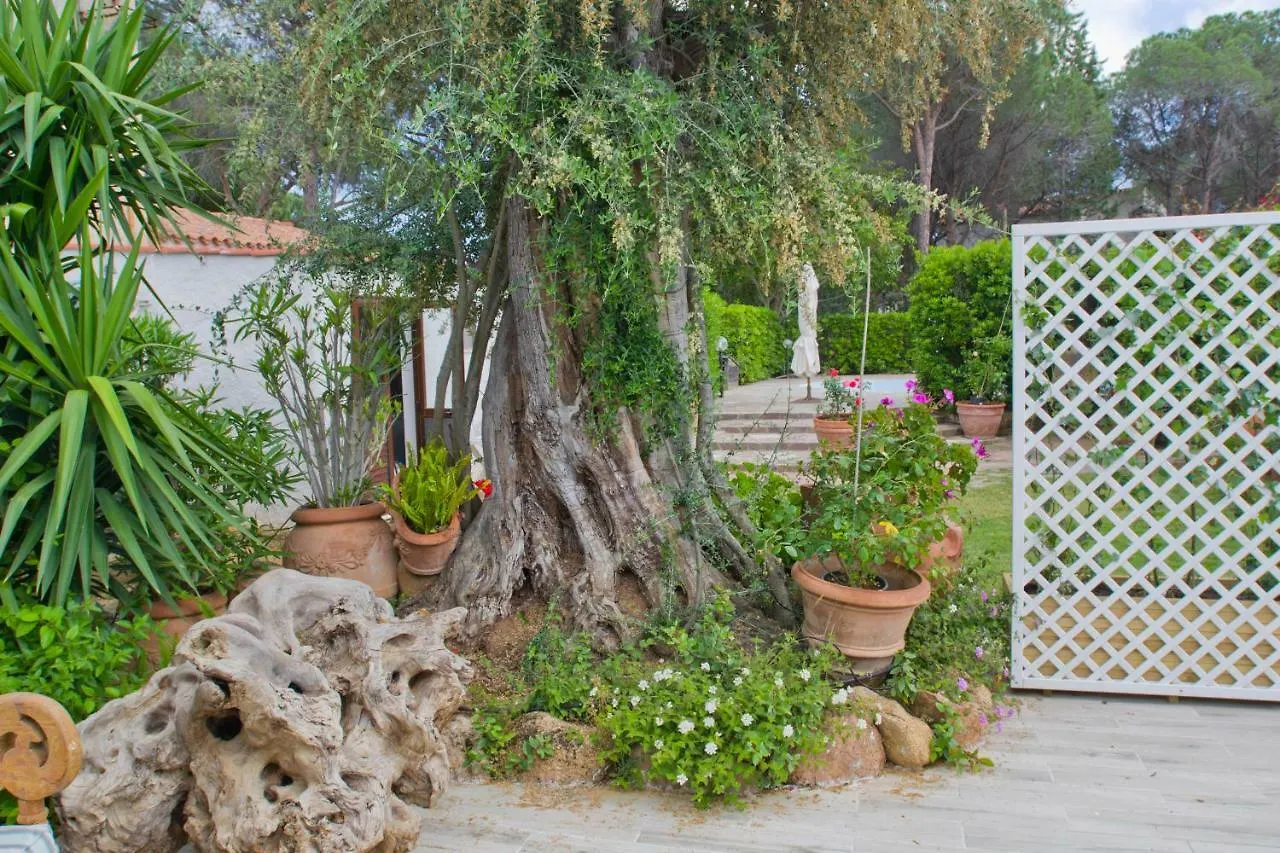 Villa Jungle House - Pineta Is Morus Santa Margherita di Pula