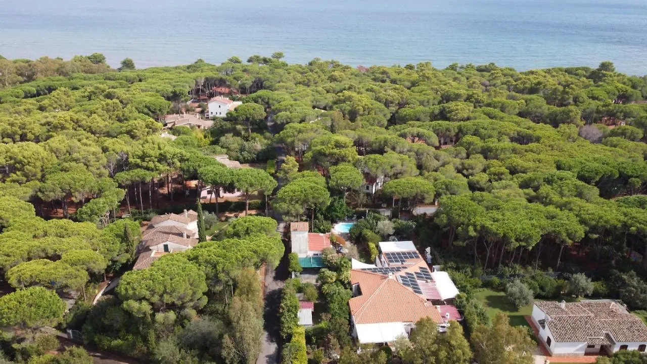 Villa Jungle House - Pineta Is Morus Santa Margherita di Pula Ferienhaus